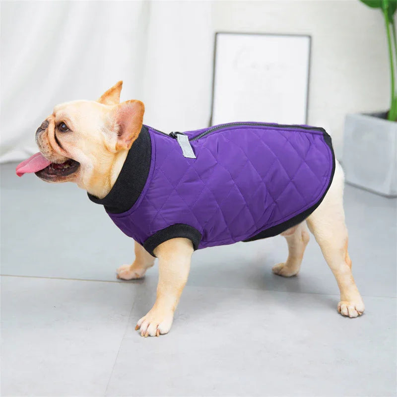 Dot Dog Coat - Back Closure and Leash Ring
