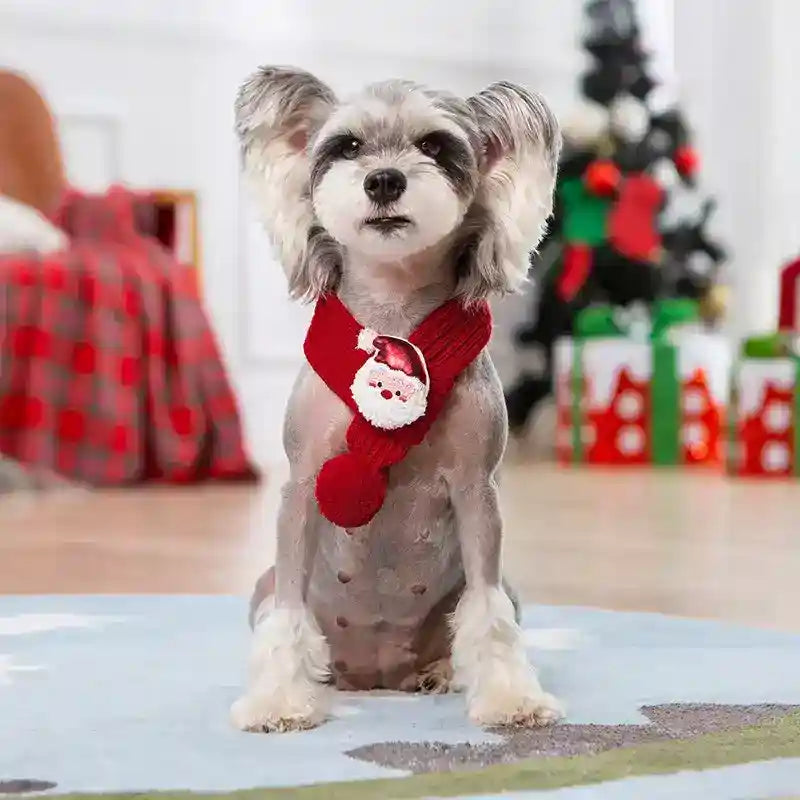 Maglione Natale Cani Fiocchi Neve Rosso Verde by Dog Moda