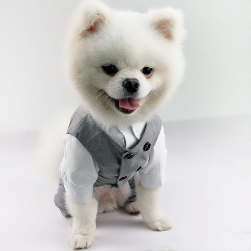 Vestito da cerimonia per cane grigio "Panama" - Dog Moda