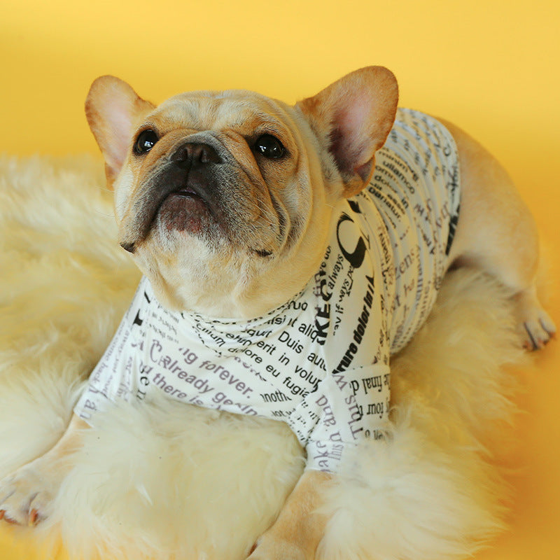 Dog and Bulldog Sweater with Bow