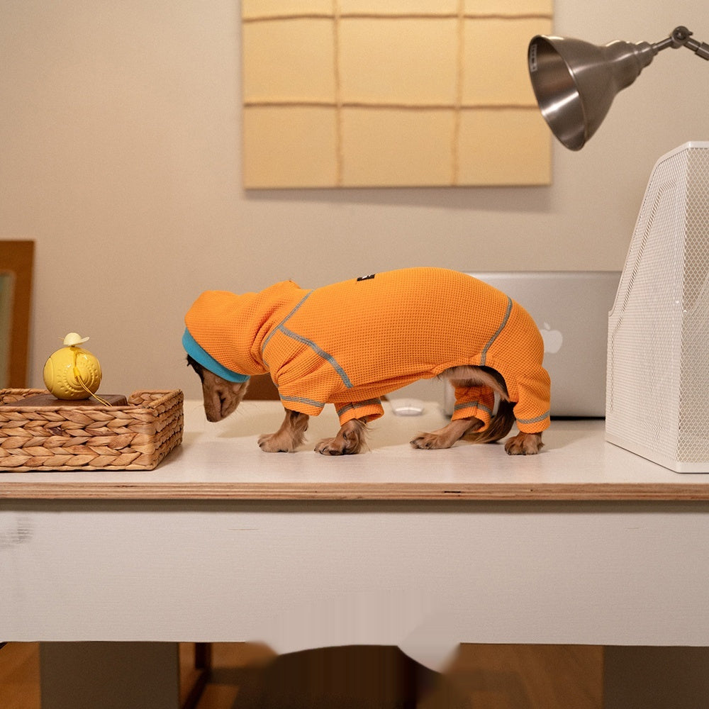 Dachshund Hoodie - Stretch