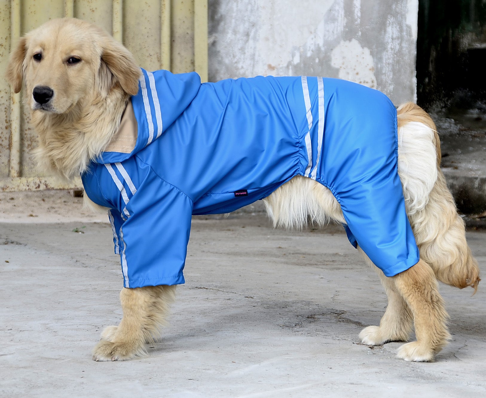 "Thunder" Large Dog Raincoat - Ultimate Protection for Four-Legged Giants