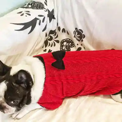 Maglione per Cani Rosso con Fiocco - Lavorazione Treccia by Dog Moda