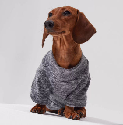Fashion Dog Hoodie with Harness Ring - XS to 6XL
