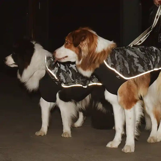 Cappotto Cani Riflettente Tecnico Invernale - Sicurezza by Dog Moda