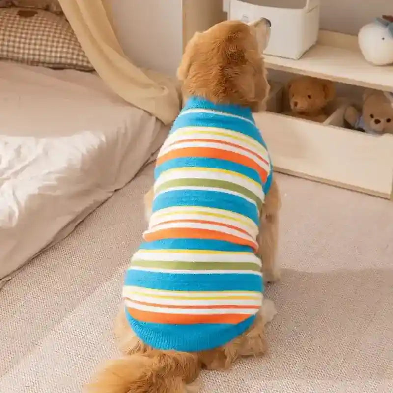 大型犬用ストライプセーター | ゴールデンレトリバー – Dog Moda