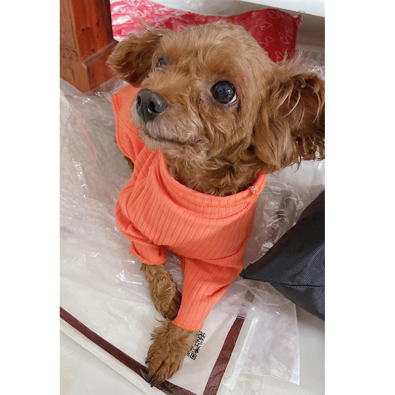Maglietta per Cani Modello "Lilly" a Righe – Leggera, Traspirante ed Elasticizzata - Dog Moda