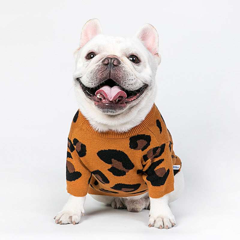 "Rich" Dog Sweater – Leopard Style &amp; Wool Comfort