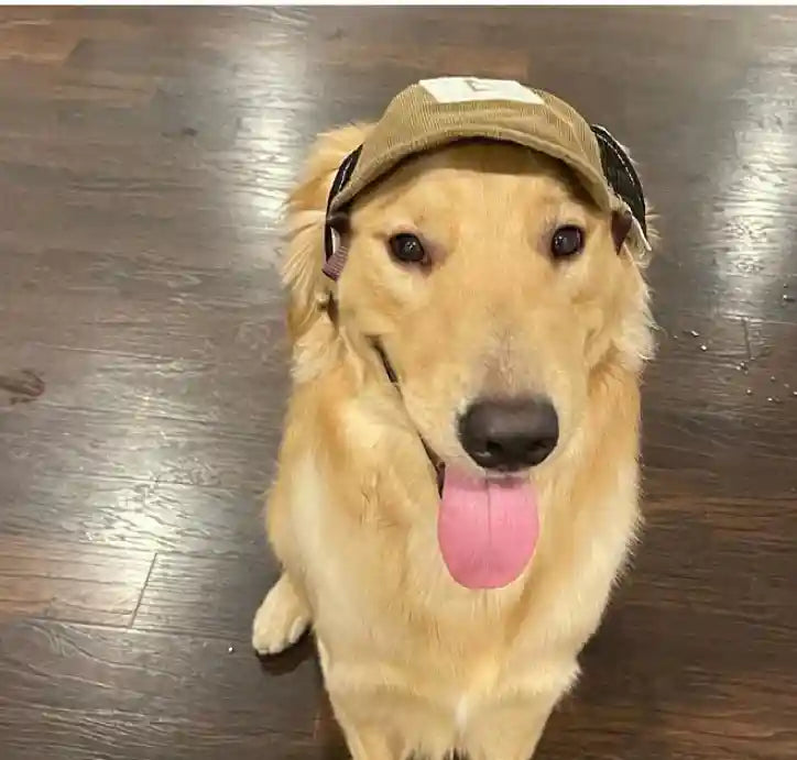 犬用つば付きキャップ - 通気性ベルベット