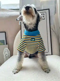 Maglia a Righe Elasticizzata per Cani - Calda e Confortevole