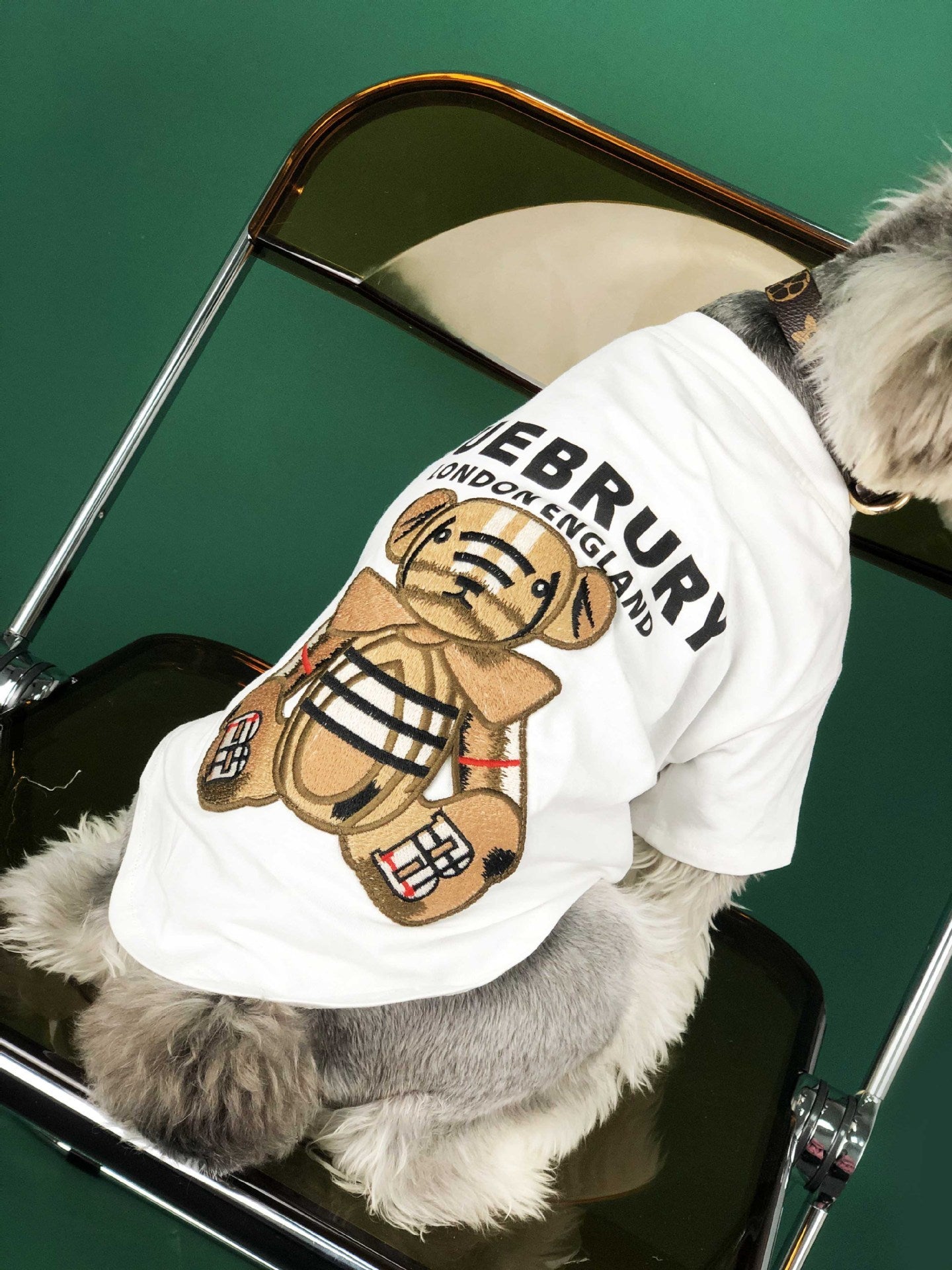 "Bueberry" Teddy Bear Dog T-Shirt