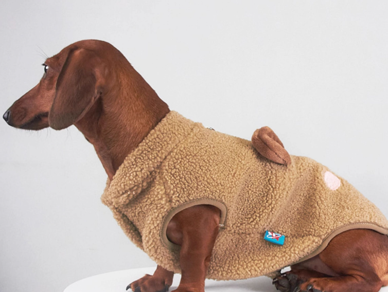 Dachshund Fleece Pillow Coat - Pig or Bear