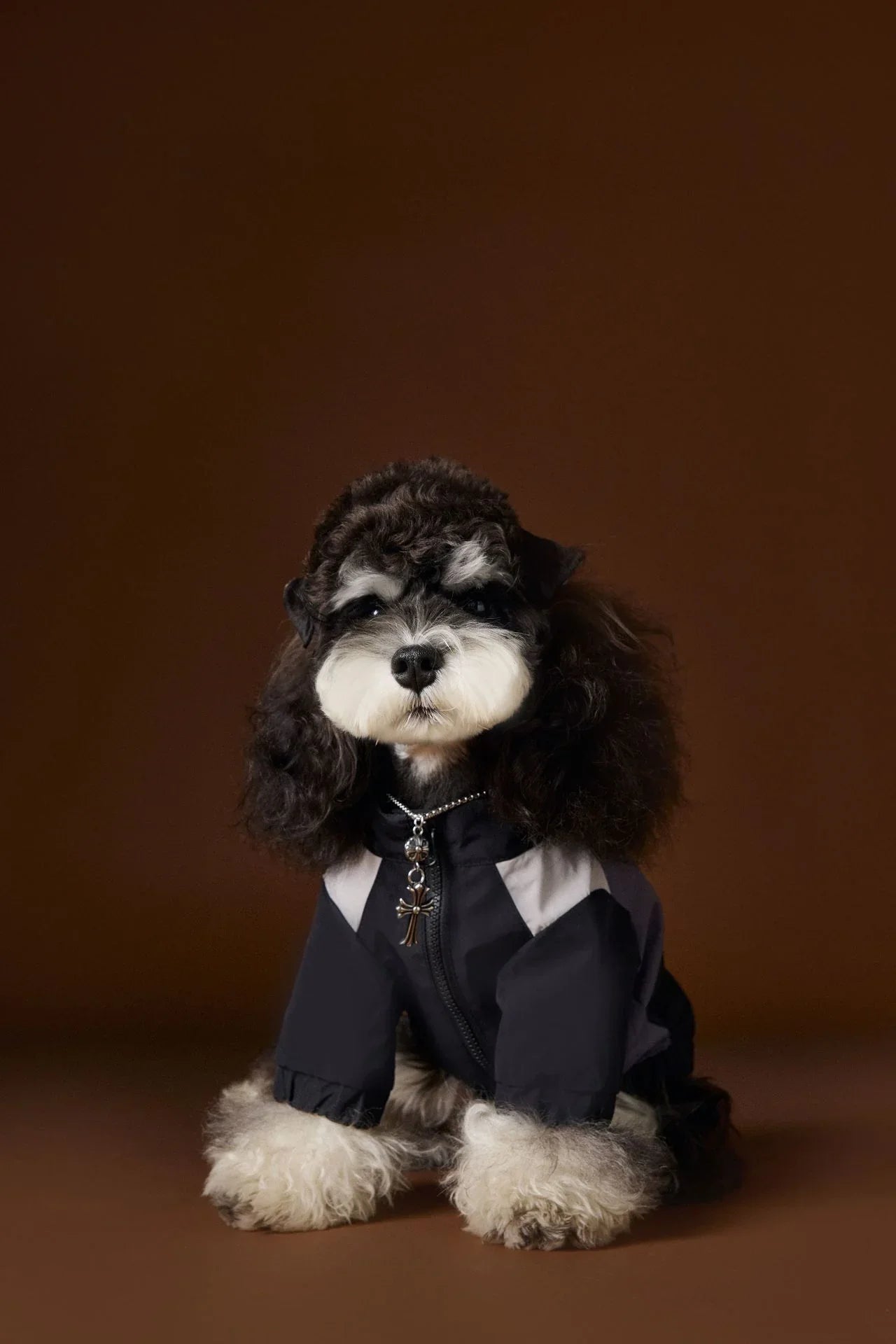 DOG SPORTS Hunde-Regenmantel mit Tasche und Reißverschluss