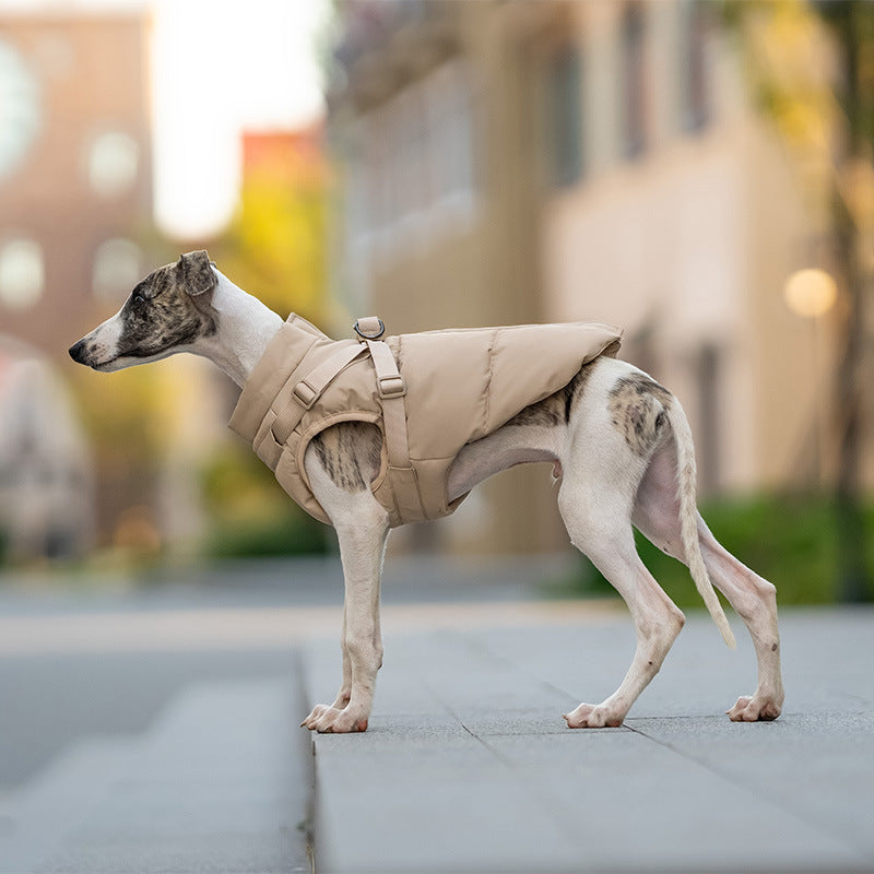 Vogue Padded Dog Coat with Integrated Harness