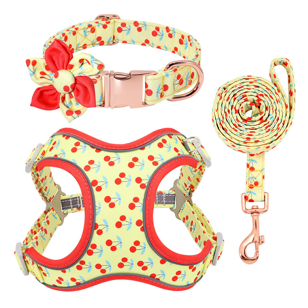 Pettorina per cani "Summer" set completo con collare - Cheepet