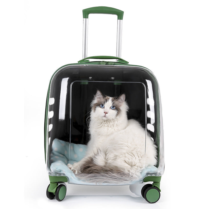 Trolley Trasparente per Cani e Gatti - Controllo e Ventilazione Totale