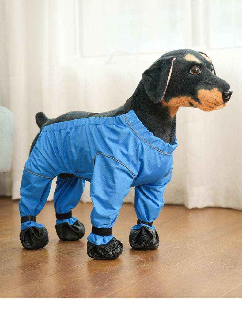 Pantaloni Impermeabili per Cani con Scarpe | Antipioggia e Vento