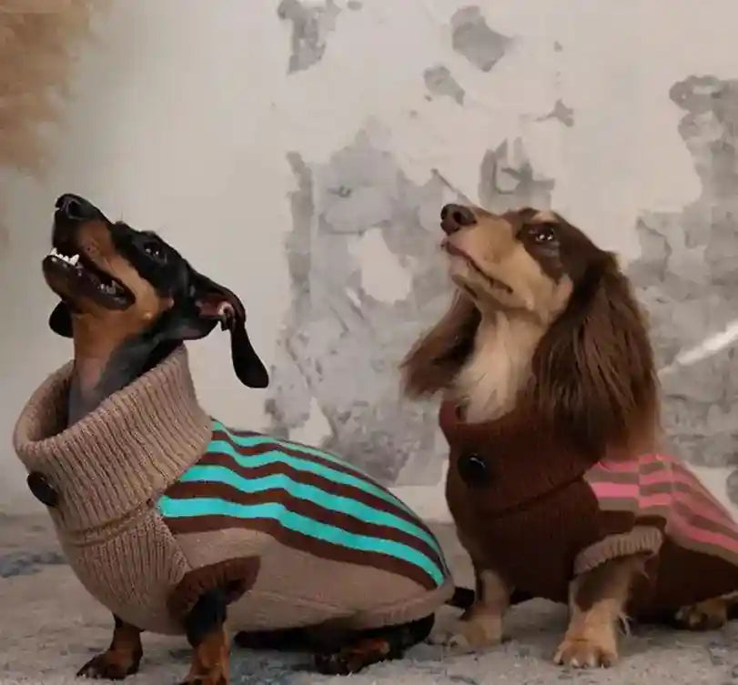 Maglione Cani Collo Alto Wiene Day - Caldo e Trendy by Dog Moda