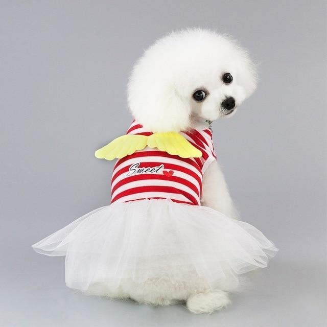 "Cute" Female Puppy Dress 