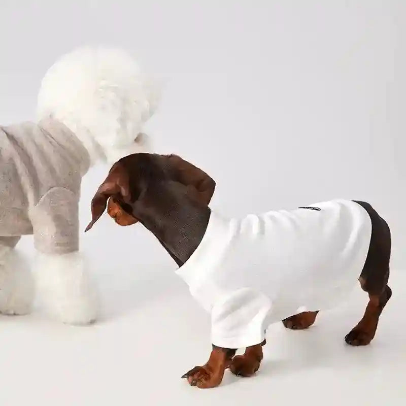 Maglia Tecnica per Cani - Leggera e Traspirante per Tutte le Stagioni by Dog Moda