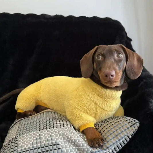Tuta Pile Bassotto 4 Zampe - Abbigliamento Cani Inverno by Dog Moda