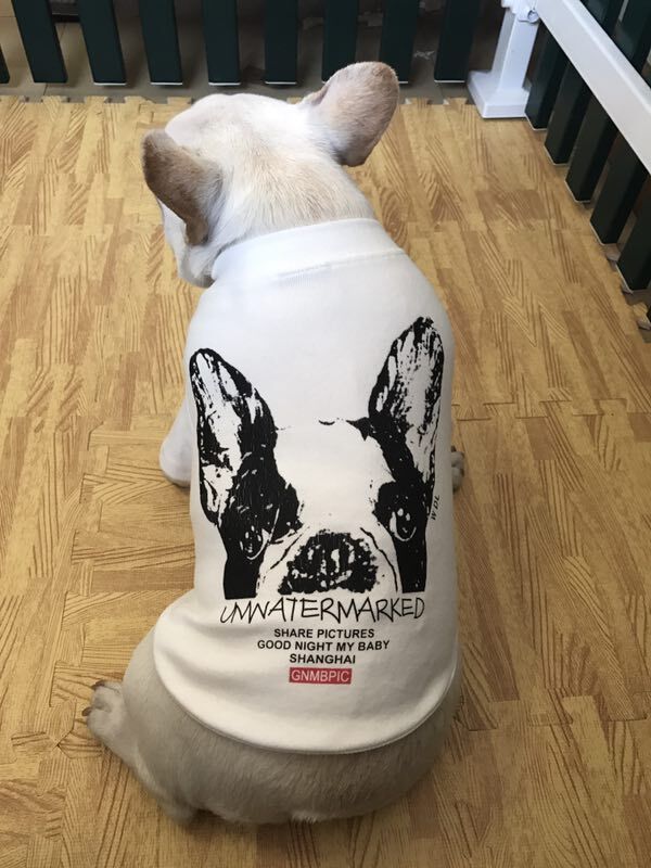 "Unwatermarked" French Bulldog Shirt with Back Print