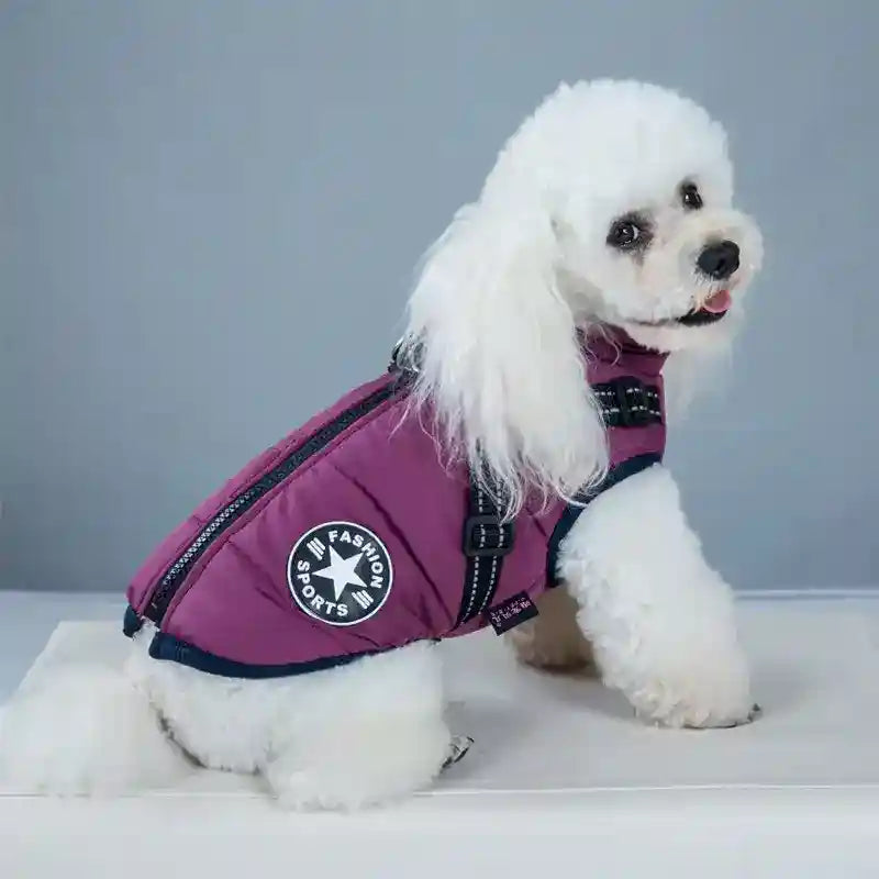 Cappotto Invernale per Cani Hall Star | Imbottito e Impermeabile by Dog Moda