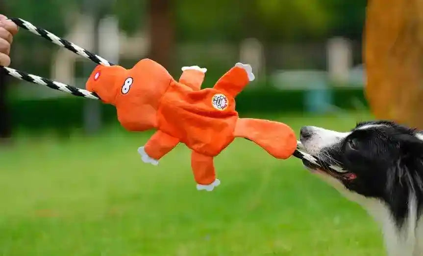 カモノハシのロープおもちゃ 犬用 - 丈夫な綱引き用