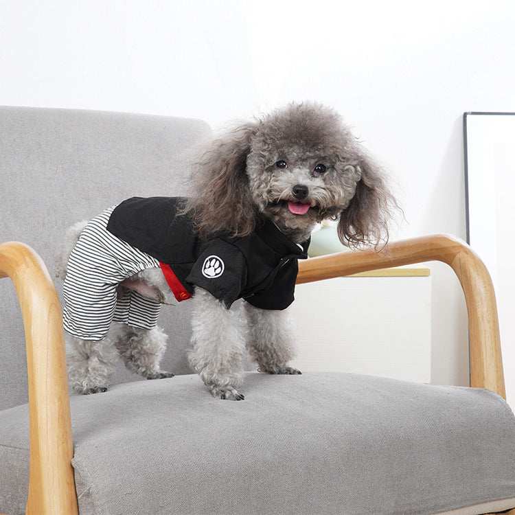 Tutina per Cani a Righe con Gonnellina per Femminucce e Zampine per Maschietti – Stile Elegante con Chiusura a Bottoni - Dog Moda