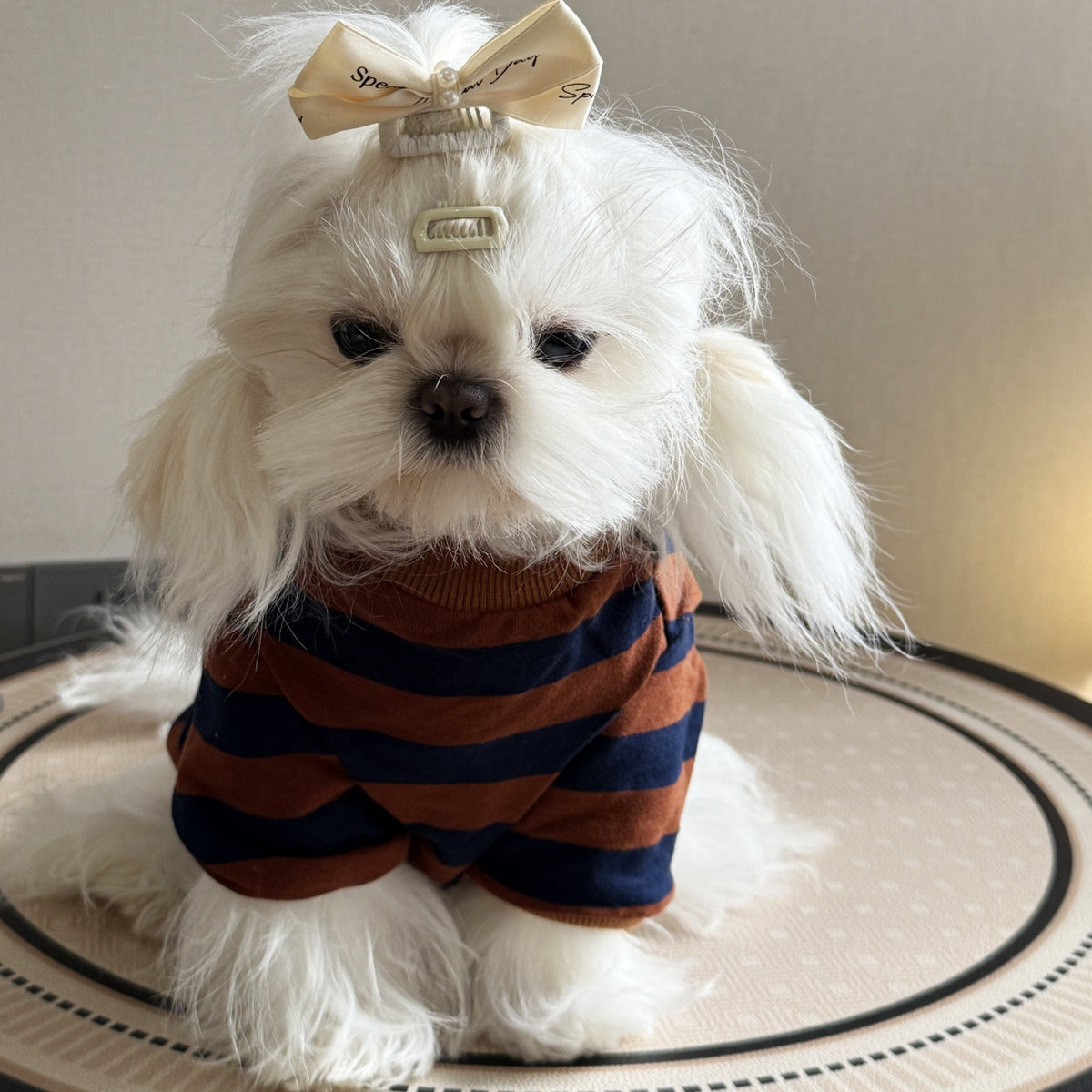 Maglia a Righe per Cani BluePet - Casual Marrone e Blu by Dog Moda