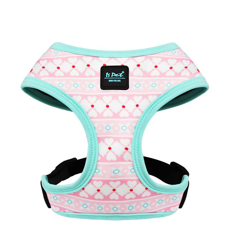 Harness and leash for dogs model "Florida" - IsPet
