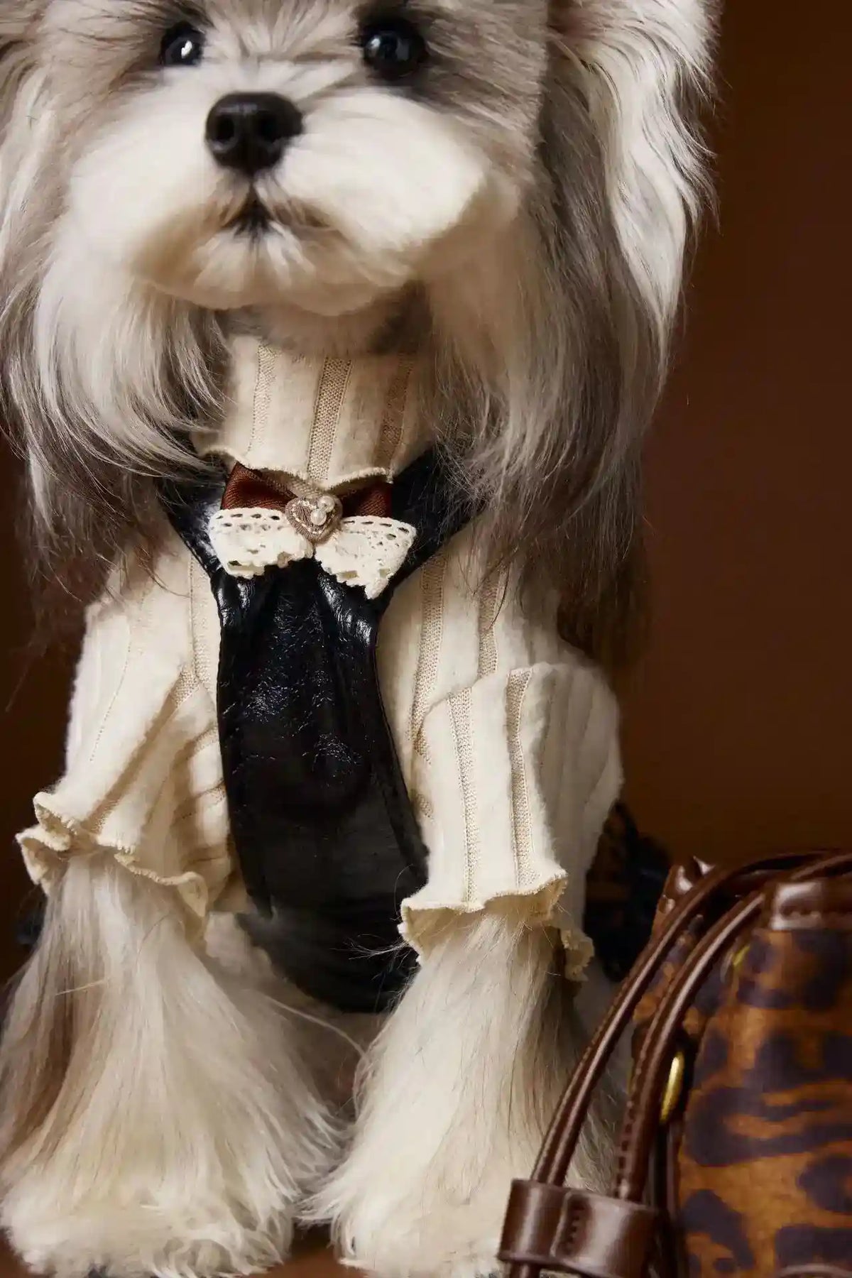 Vestito Elegante Buttons per Cani - Fiocco sul Colletto by Dog Moda