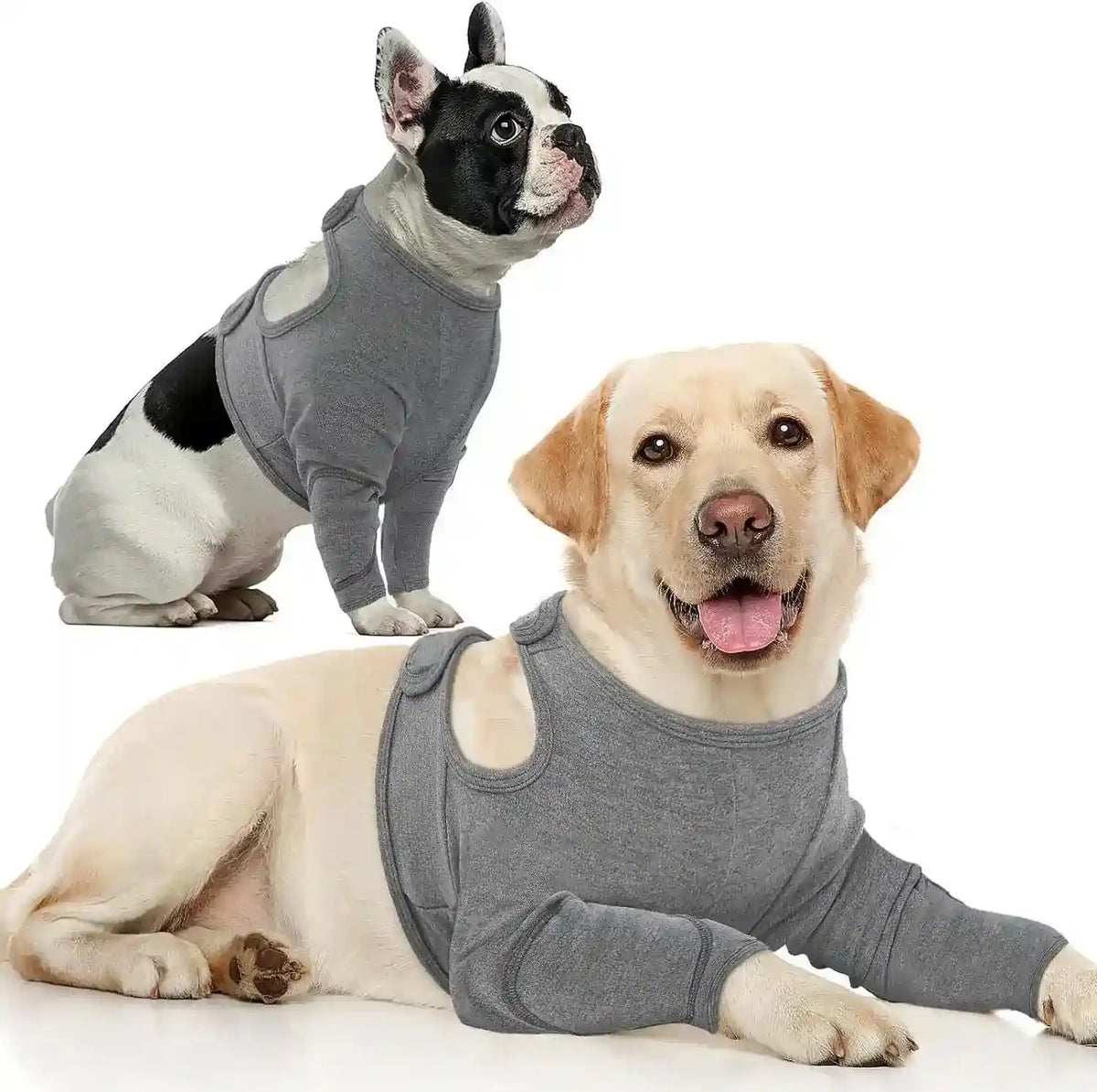 Tutore Zampe Anteriori Cani - Supporto Post Trauma e Prevenzione by Dog Moda