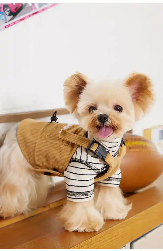 Salopette Moosipet Velluto Cani - Bretelle Taschina Beige by Dog Moda