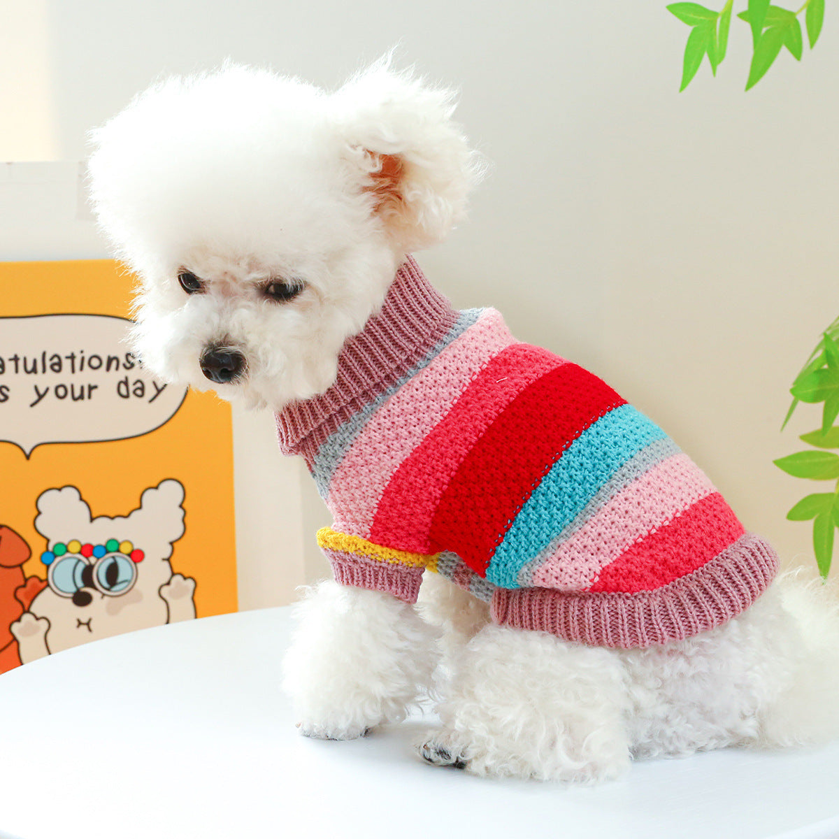 Maglioncino Rigato per cani Dolce Inverno - Collo alto - Dog Moda