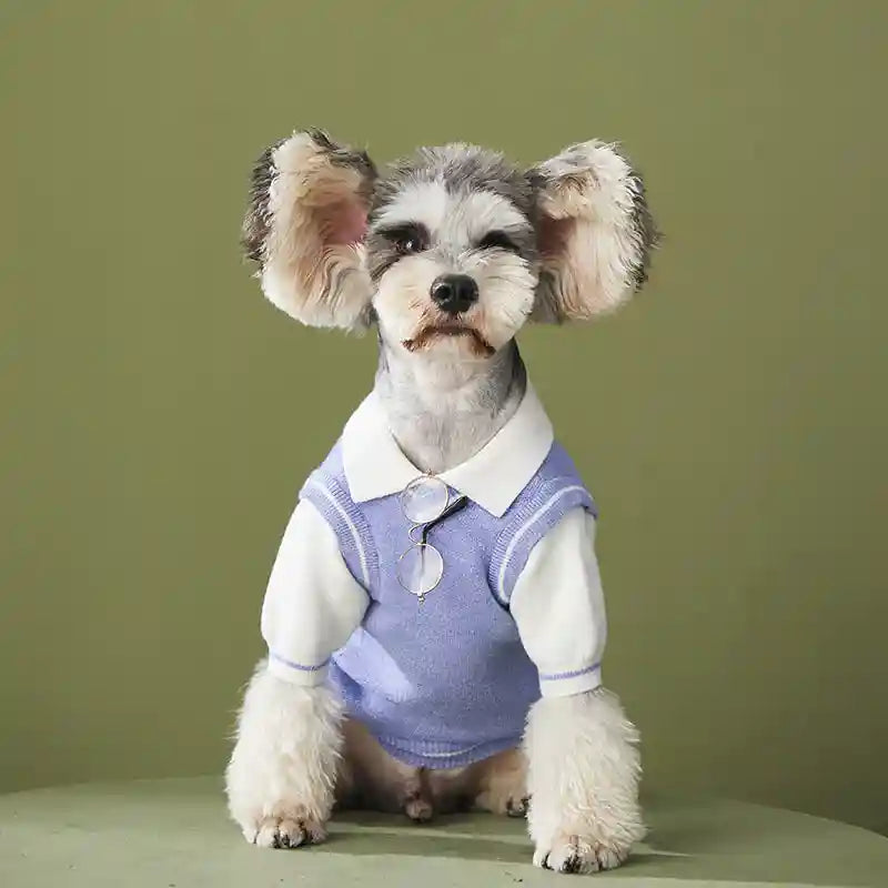 Maglione Cani Hello Azzurro - Lana Doppio Strato Caldo by Dog Moda