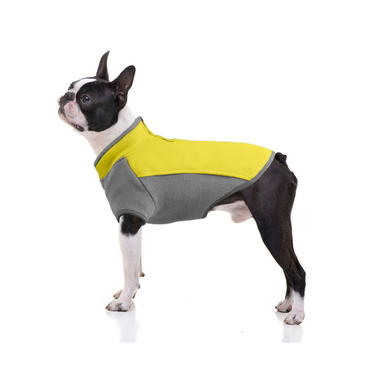 Boston Terrier Fleece Coat | Stretchy &amp; Zip Neck