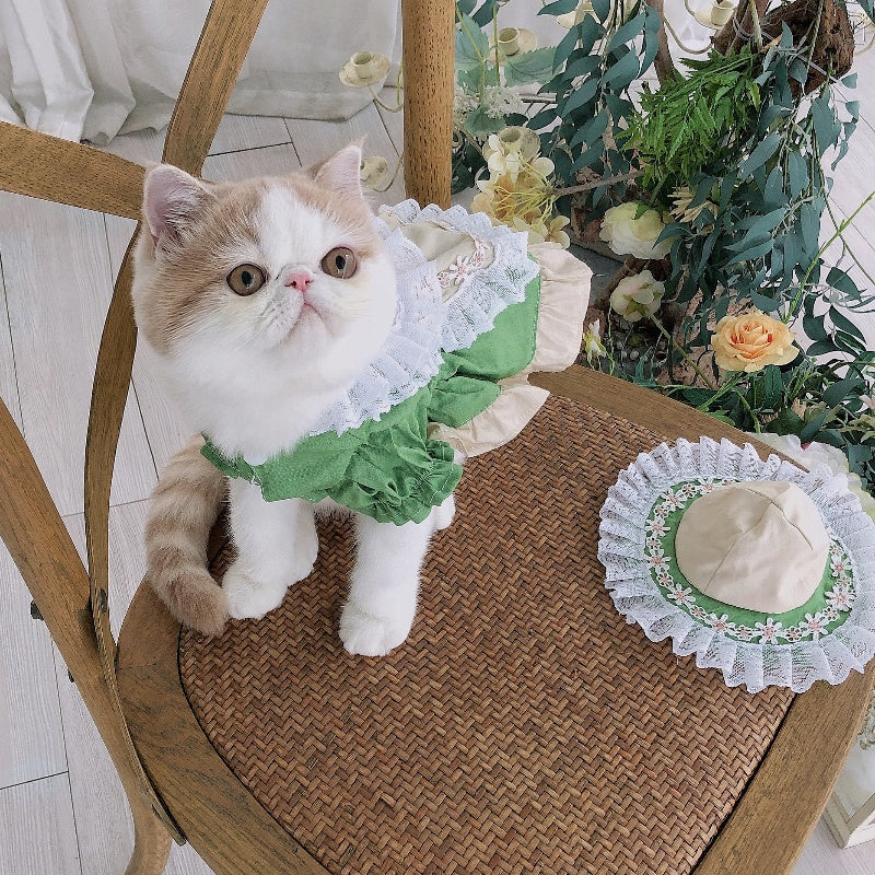 Tyrolean Cat Dress with Hat and Embroidery 🎀