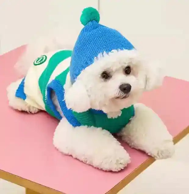 ピークスフード付き犬用セーター - 暖かいブルーストライプ