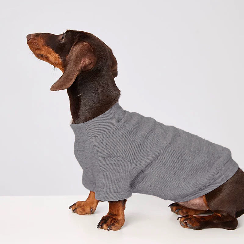 Maglia Tecnica per Cani - Leggera e Traspirante per Tutte le Stagioni