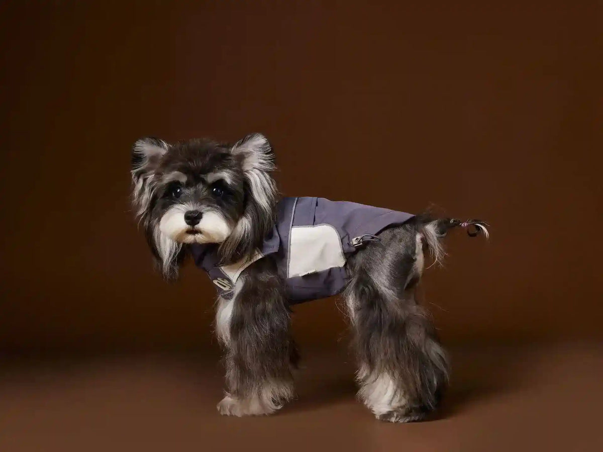 Impermeabile Tawney Bear Blu - Smanicato con Coulisse by Dog Moda