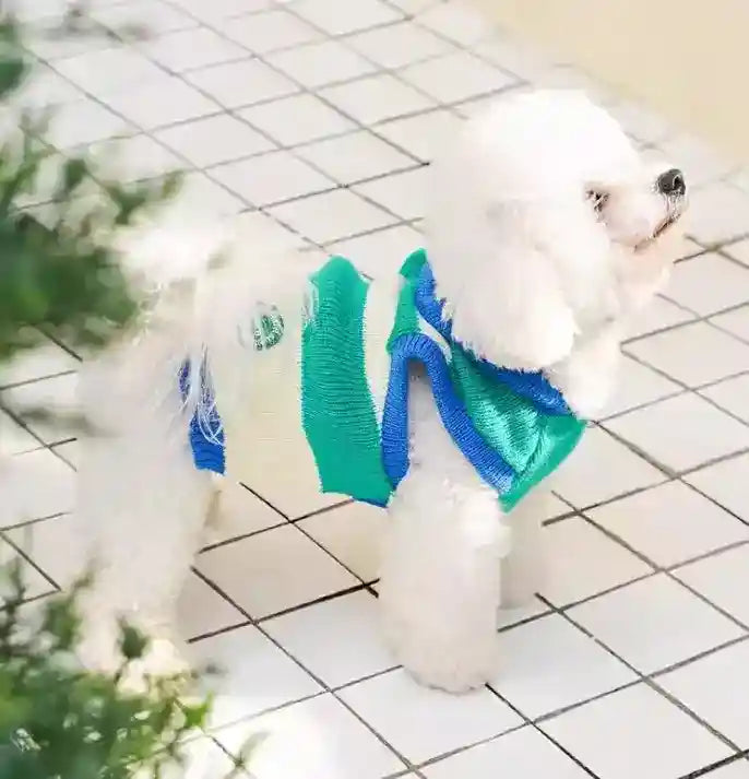 ピークスフード付き犬用セーター - 暖かいブルーストライプ