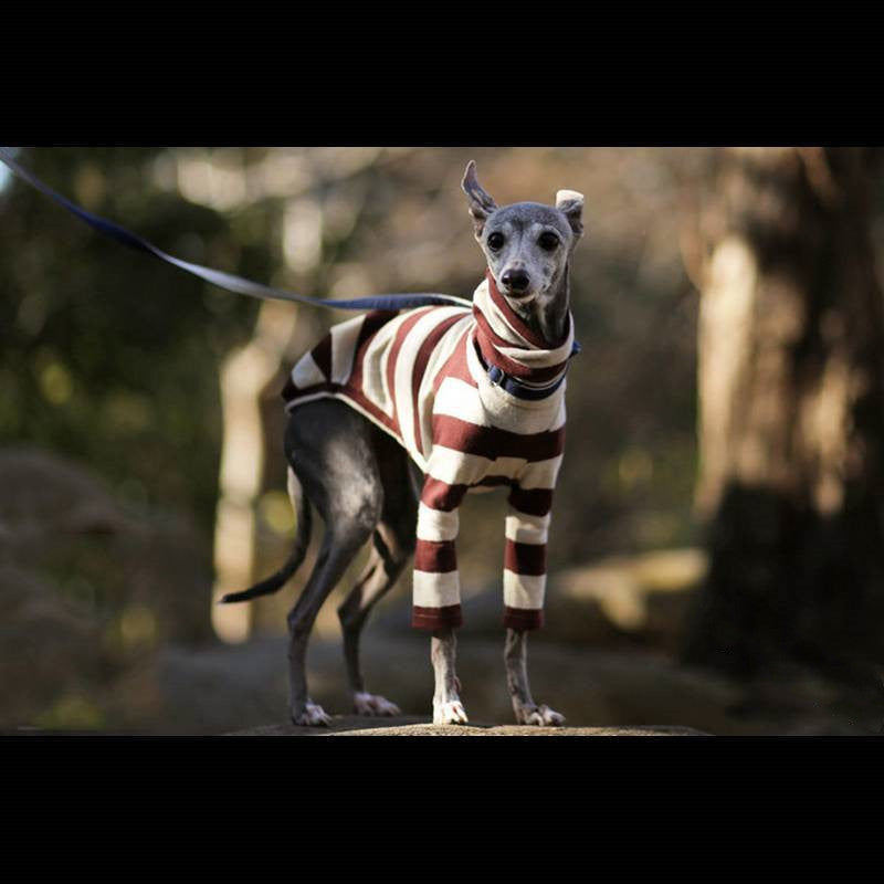 Greyhound Striped Medium Large Dog Sweater