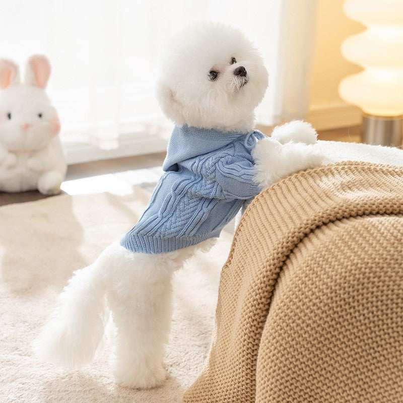 Dog sweater "Paradise" in bright patterns for little friends