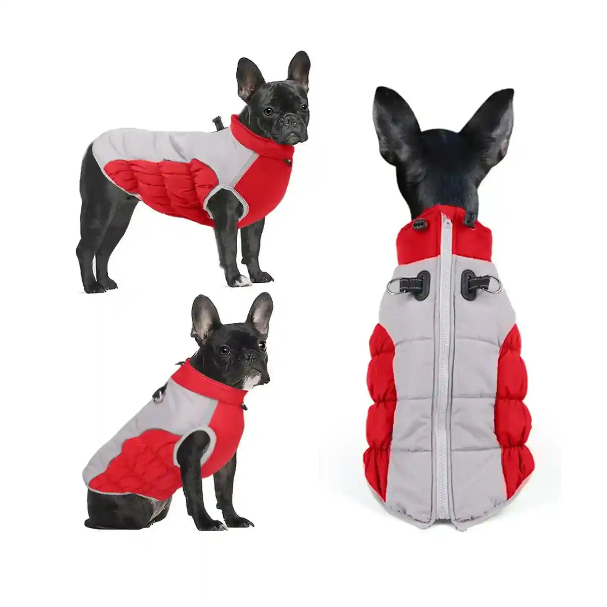 Cappotto Impermeabile Cani Passepartout con Zip e Pettorina by Dog Moda