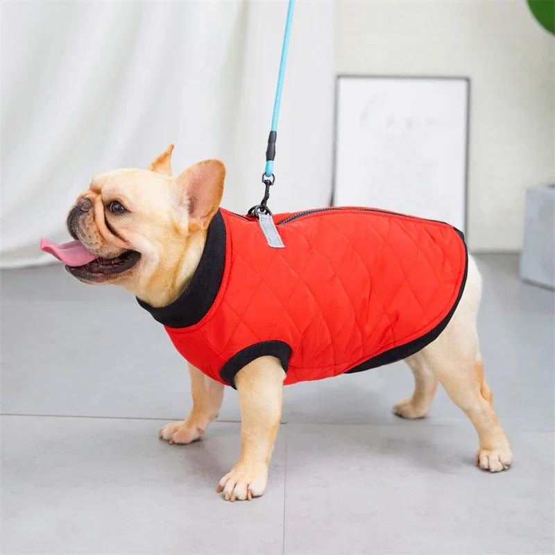 Dot Dog Coat - Back Closure and Leash Ring