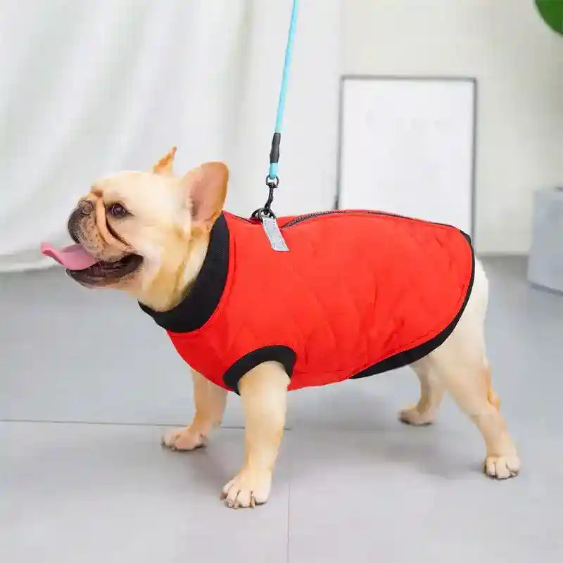 Cappottino Dot per Cani - Chiusura Dorso e Anello Guinzaglio by Dog Moda