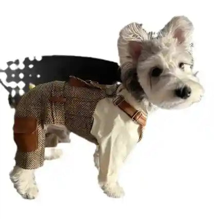 Salopette per Cani con Bretelle - Stile British Premium