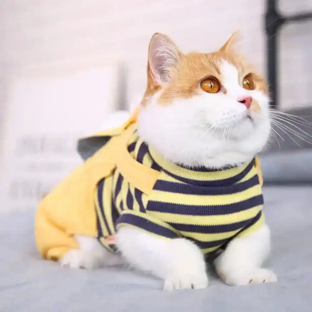 Tutina Salopette Gatti a Righe con Tasca - 6 Taglie by Dog Moda