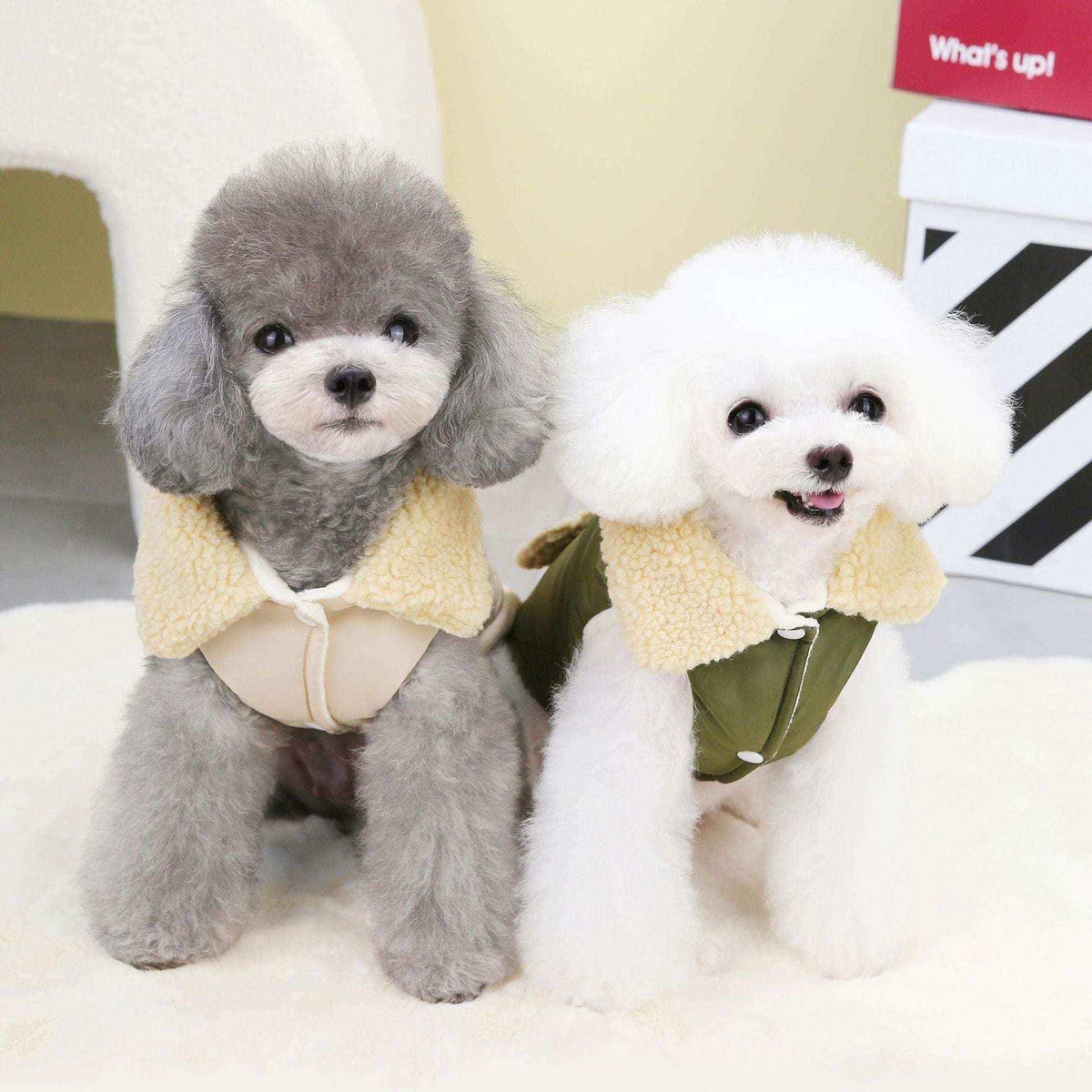 Cappottino Chill per Cani - Colletto Ecopelle, Stile Nordic